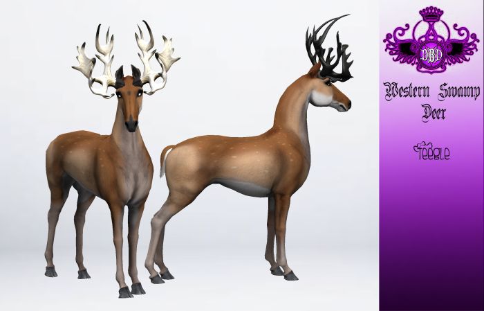 ^^*DBD*^^ TEEGLEPET EXOTICS western swamp deer