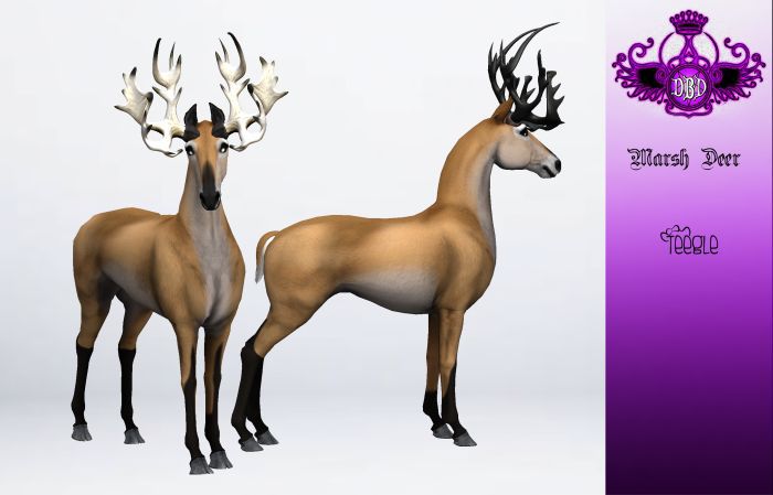 ^^*DBD*^^ TEEGLEPET EXOTICS marsh deer