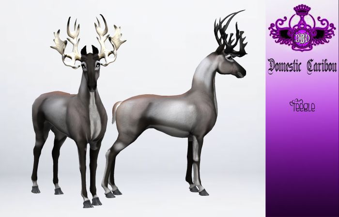 ^^*DBD*^^ TEEGLEPET EXOTICS domestic caribou