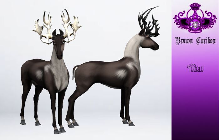 ^^*DBD*^^ TEEGLEPET EXOTICS brown caribou
