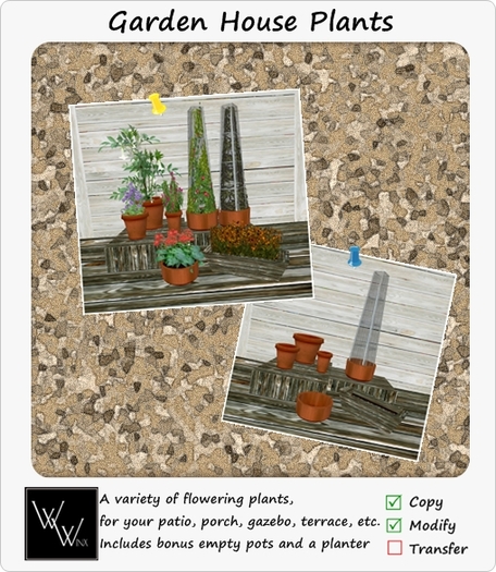  W. Winx-Garden House Plants