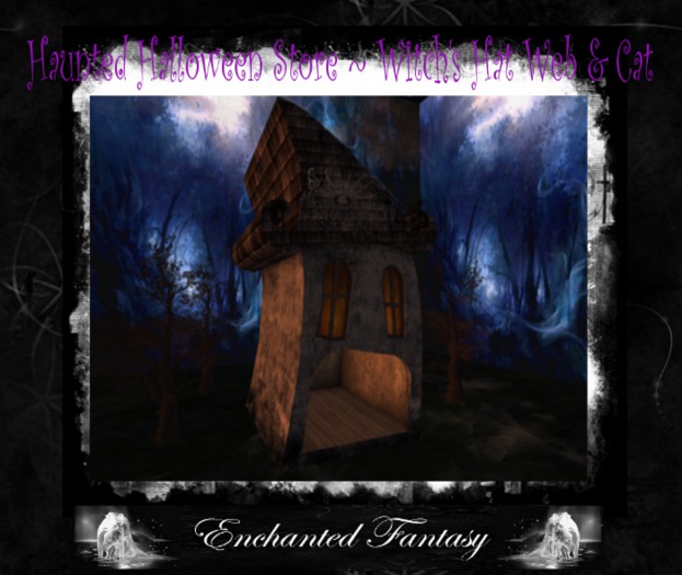 Haunted Halloween Store ~ Witch's Hat Web & Cat