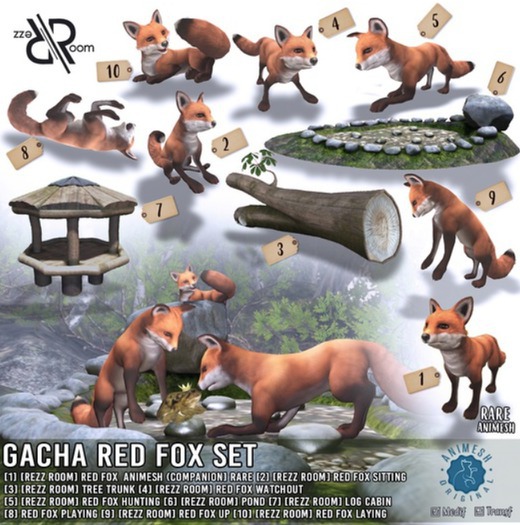 [Rezz Room] Box Red Fox Laying