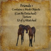 Bad Katz Foal Friends 1
