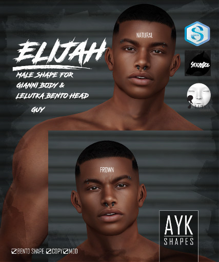 AYK-SHAPES@Elijah Shape - Gianni Body - Lelutka Head Guy