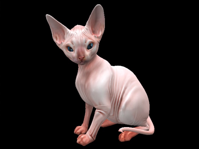 -Pixicat- Bastet.Sphynx (Sit)