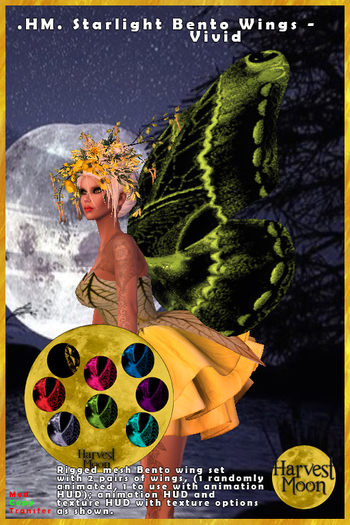.HM. Starlight Bento Wing Set Vivid [Add and Click]