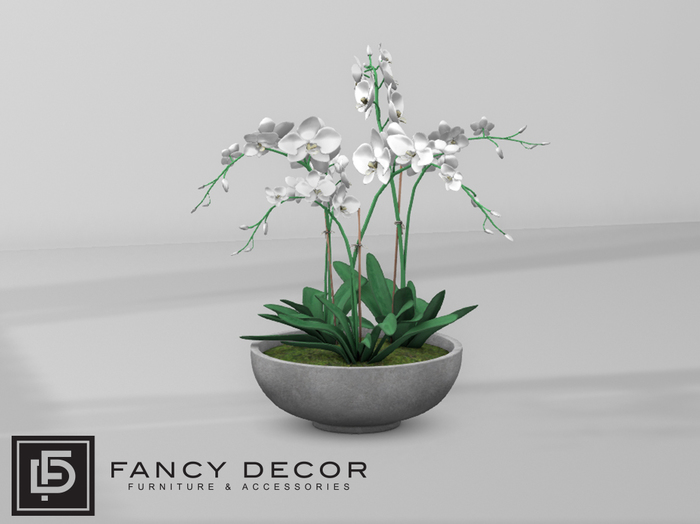 Fancy Decor: Solis Orchid Bowl
