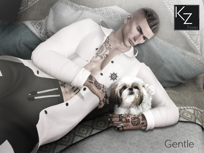 KZ poses - Gentle - Male pose - Bento