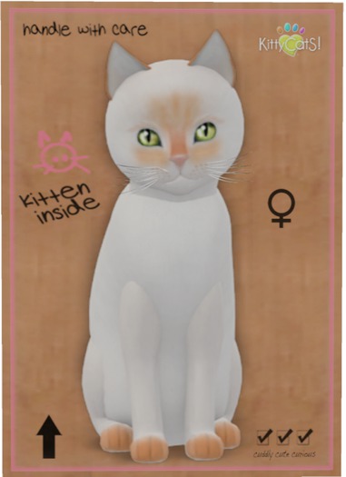 KittyCatS Box - Siamese - Flame