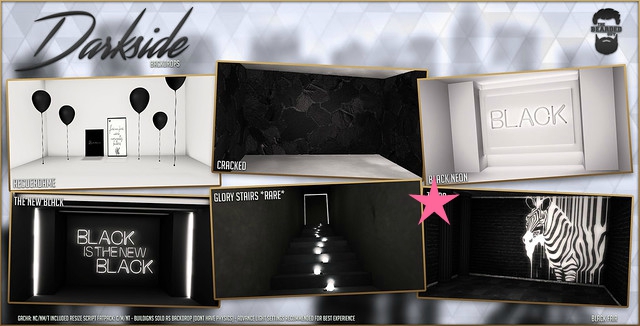 Zebra - Darkside Backdrops - The Bearded Guy