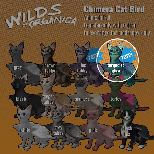 [ WoO ] Chimera Cat Bird Pet (Turquoise Dream) (RARE)(T)