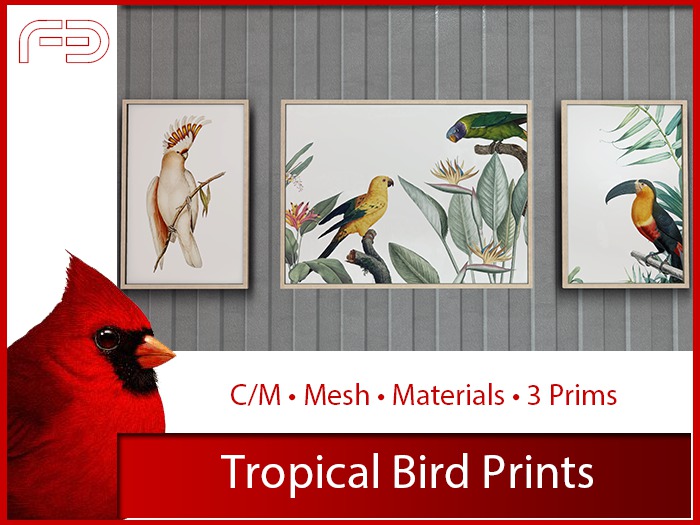 [FB] Tropical Bird Prints (Boxed)