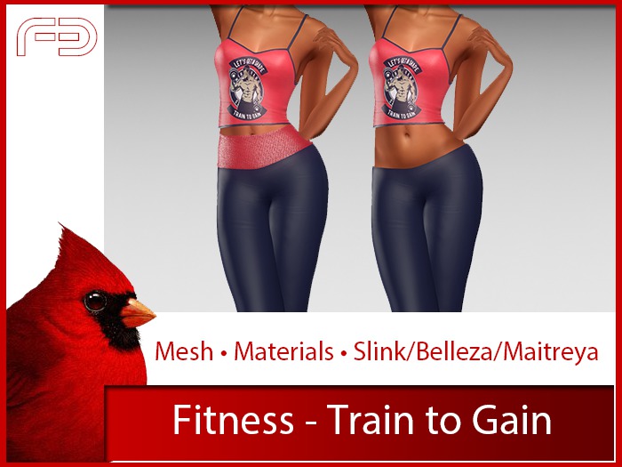 [FB] Fitness - Train to Gain (Boxed)