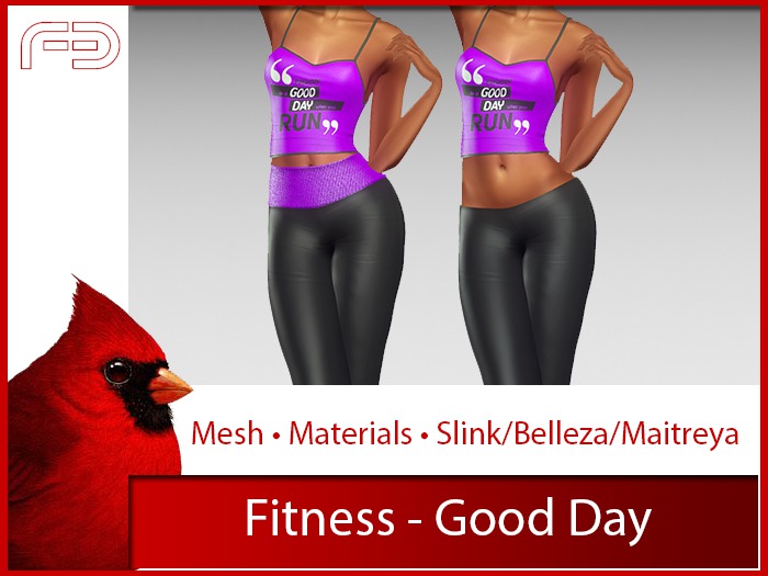 [FB] Fitness - Good Day (Boxed)