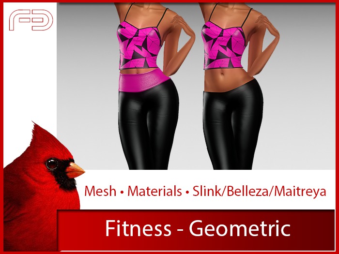 [FB] Fitness - Geometric (Boxed)