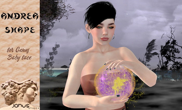 ANDREA  shape by JANUS