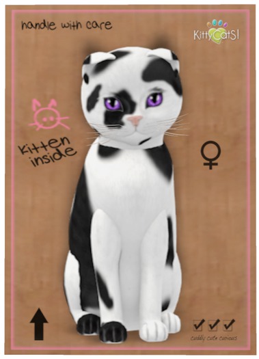 KittyCatS Box - Chateau Cat - Black & White No. 1