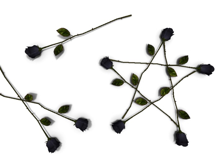 13/.a. DIY Love Potion - Ritual Roses {BLACK}