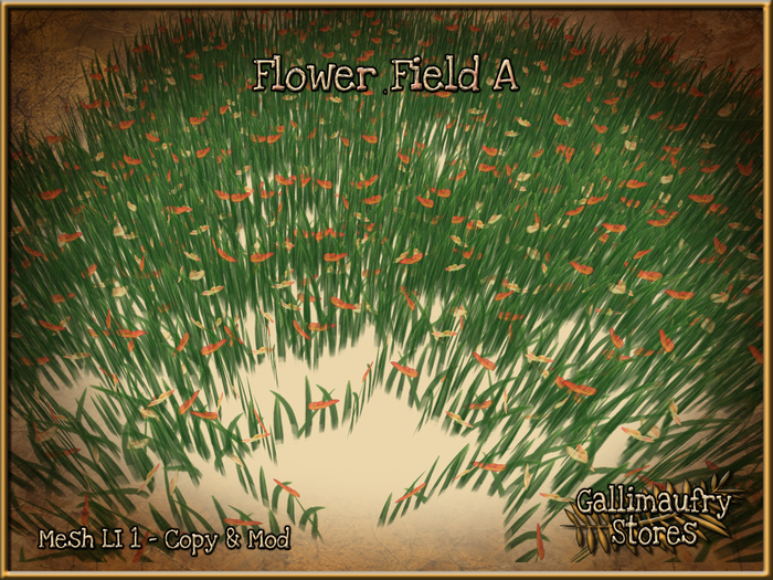 *GALLI* - MESH - Flower Field A - BOXED