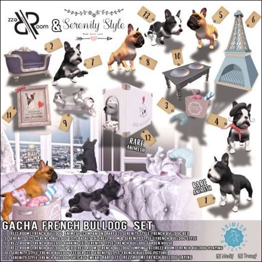 [Rezz Room] Box French Bulldog Jumping