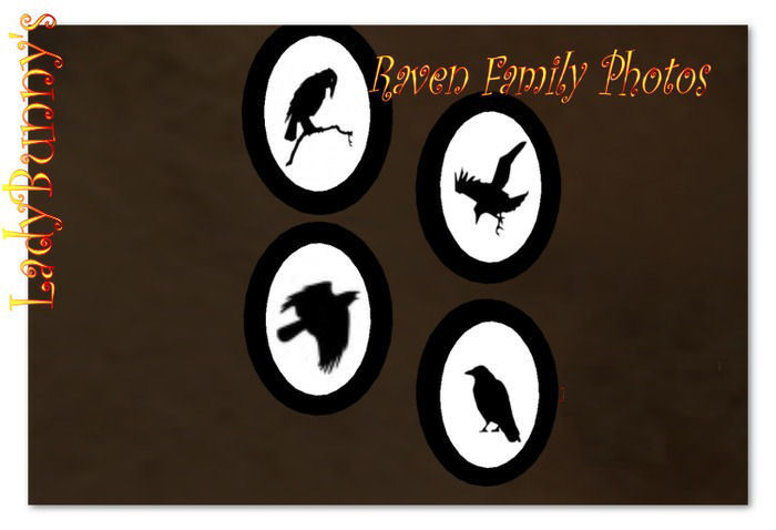 Raven Family Photos-full perm textures