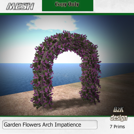 Arch Mesh Impatience