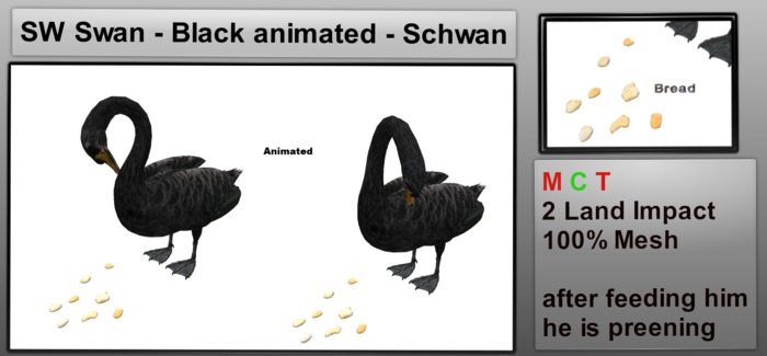 SW Swan - Black animated - Schwan