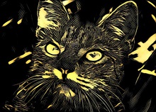 Techno Cat (L) By Nathaniel Jones