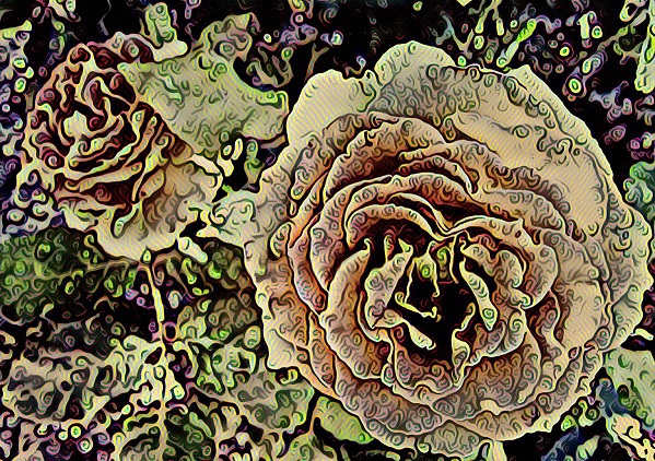 LSD Rose (S) By Nathaniel Jones