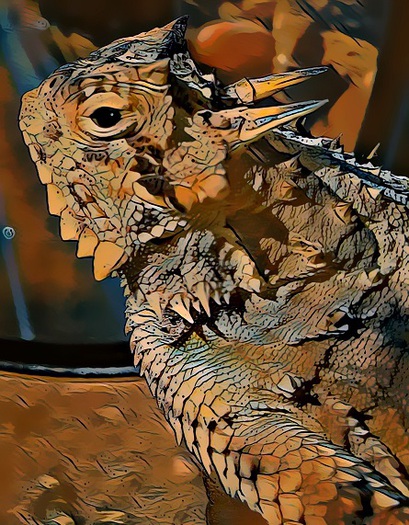 Horny Toad (Large) By Nathaniel Jones
