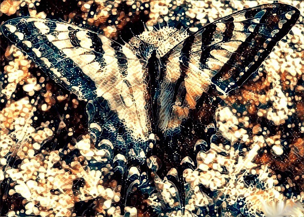 Golden Butterfly (Small) By Nathaniel Jones