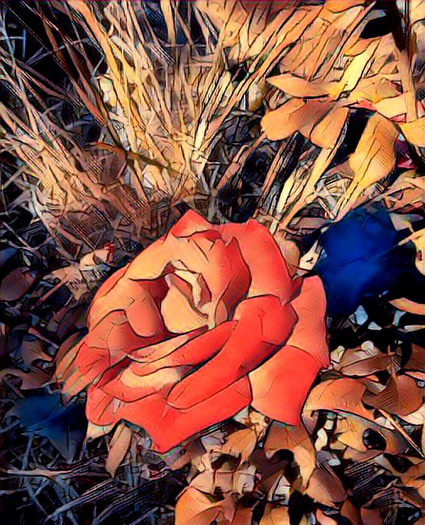 Flame Rose (L) By Nathaniel Jones