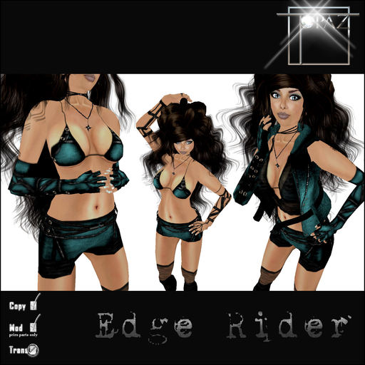 T-SQ~ Edge Rider Teal3