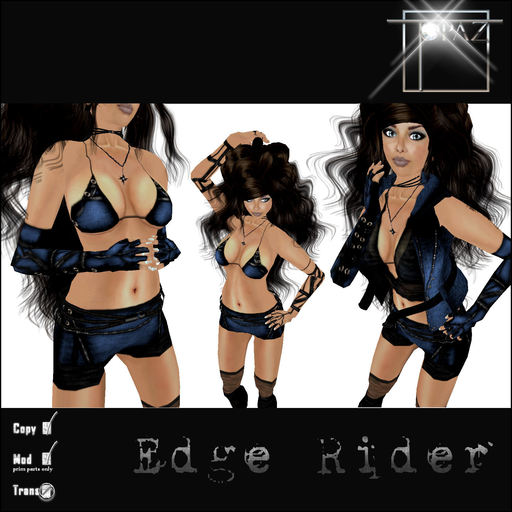 T-SQ~ Edge Rider Blue 