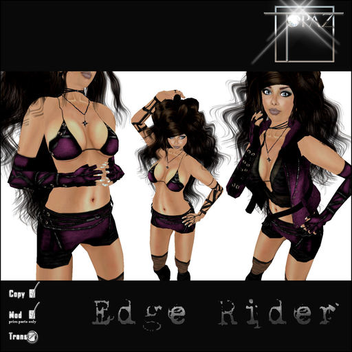 T-SQ~ Edge Rider Plum