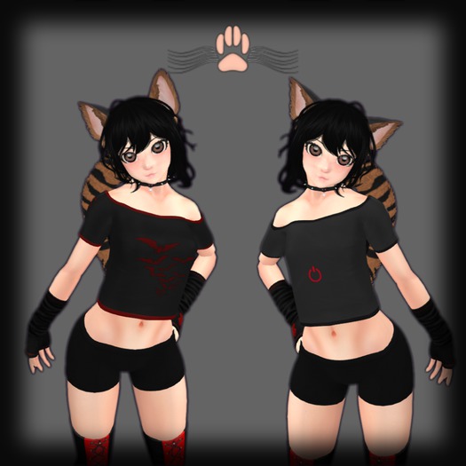 [P&C] Loose Tee (Kemono / Starbright's Fitted Torso)