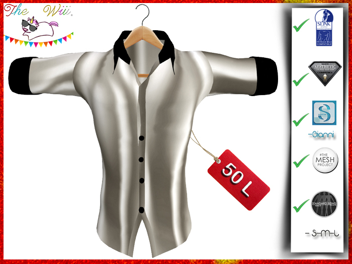 White Silk Shirt
