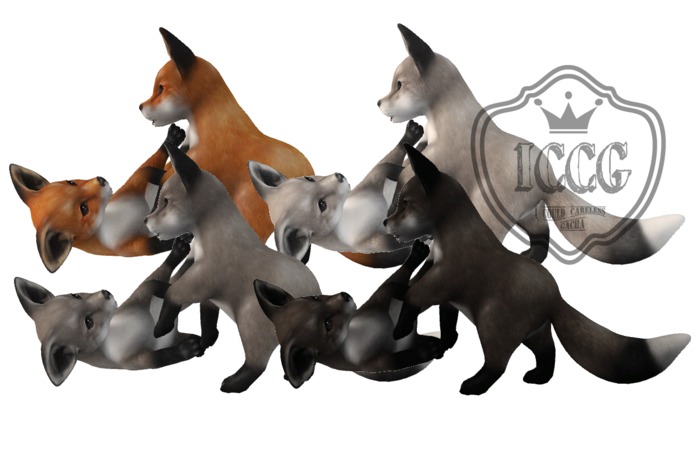 Fawny - Jolly Foxes(24) - Decor