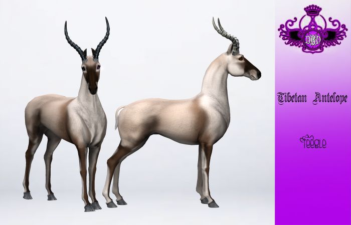 ^^*DBD*^^ TEEGLEPET EXOTICS TIBETAN ANTELOPE