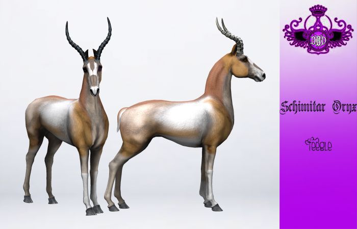 ^^*DBD*^^ TEEGLEPET EXOTICS SCHIMITAR ORYX