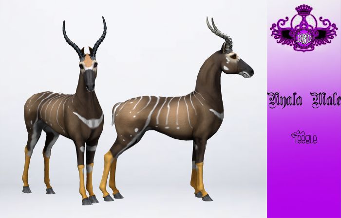 ^^*DBD*^^ TEEGLEPET EXOTICS NYALA ANTELOPE M