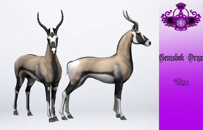 ^^*DBD*^^ TEEGLEPET EXOTICS GEMSBOK ORYX ANTELOPE