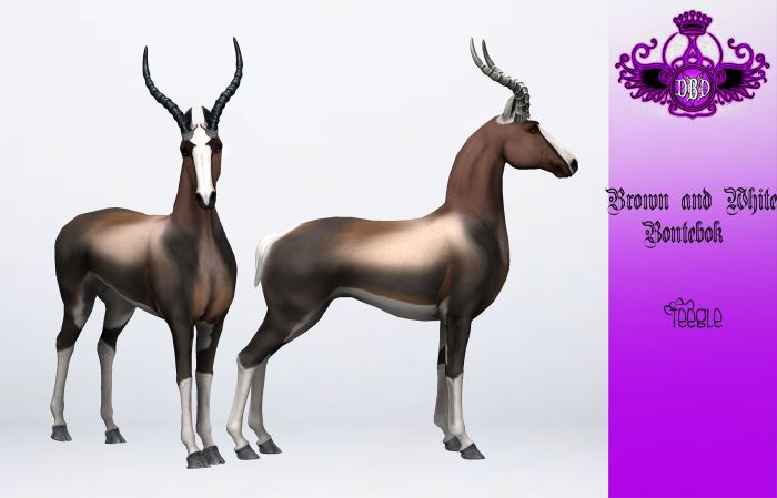 ^^*DBD*^^ TEEGLEPET EXOTICS BRN WHT BONTEBOK ANTELOPE