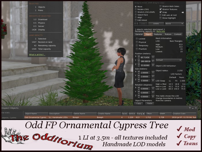 Odd Ornamental Cypress Tree 3.5m