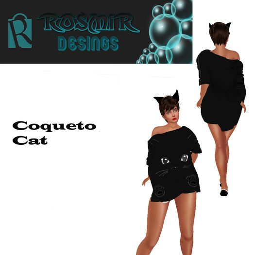 coqueto cat