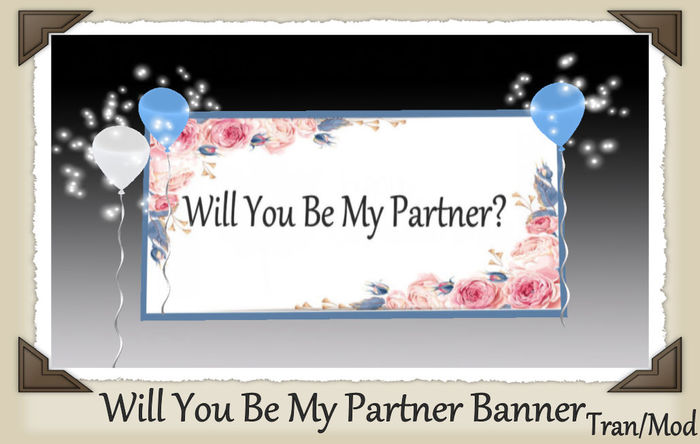 Will You Be My Partner Banner