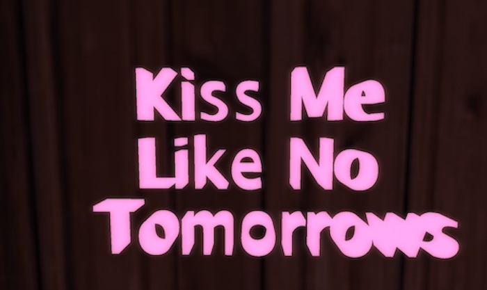 Mesh Graphic 'Kiss Me Like No Tommorrows"