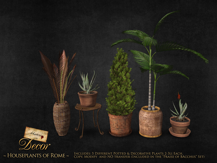 ~Libertine~ Houseplants of Rome [BOX]