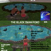 THE BLACK SWAN POND SET-CRATE